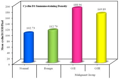 Oncomedicine Image