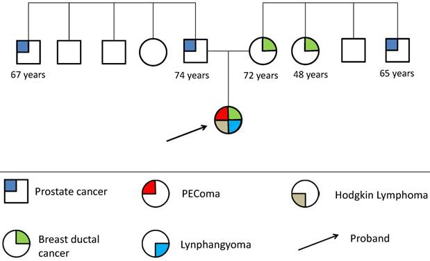 Oncomedicine Image