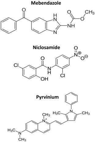 Oncomedicine Image