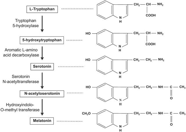 Oncomedicine Image