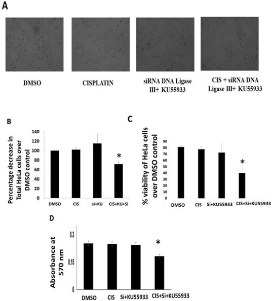 Oncomedicine Image