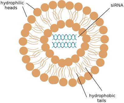 © The Author. Oncomedicine Graphic abstract