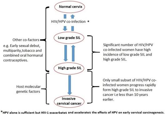 Hpv causes aids, Human papillomavirus infection causes aids